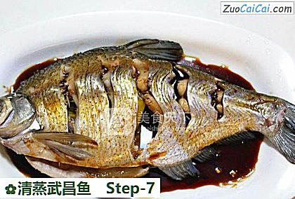 清蒸武昌鱼做法第七步骤