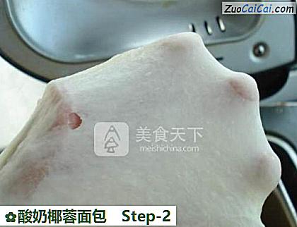 酸奶椰蓉面包做法第二步骤
