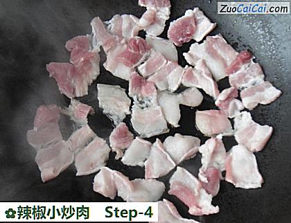 辣椒小炒肉做法第四步骤