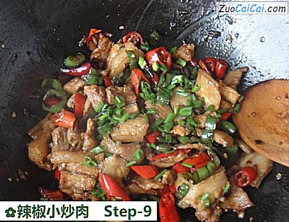 辣椒小炒肉做法第九步骤