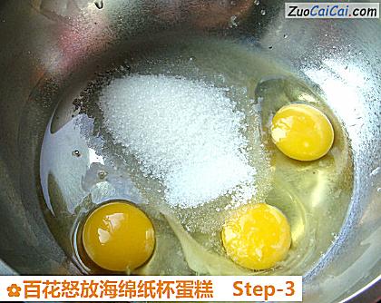 百花怒放海绵纸杯蛋糕做法第三步骤