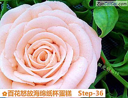 百花怒放海绵纸杯蛋糕做法第三十六步骤