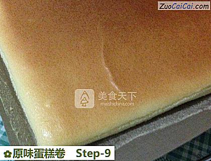 原味蛋糕卷做法第九步骤