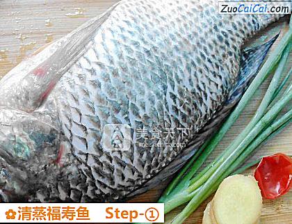 清蒸福寿鱼做法第一步骤