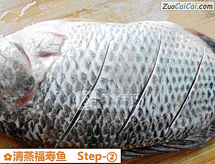 清蒸福寿鱼做法第二步骤