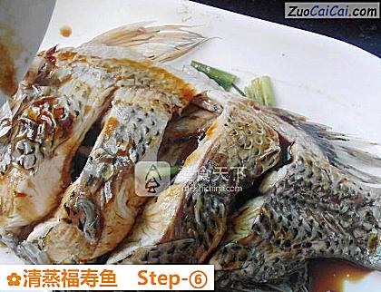 清蒸福寿鱼做法第六步骤