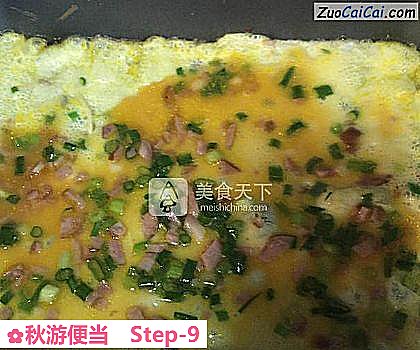 秋游便当做法第九步骤