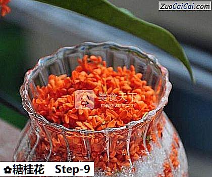 糖桂花做法第九步骤