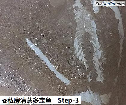 私房清蒸多宝鱼做法第三步骤