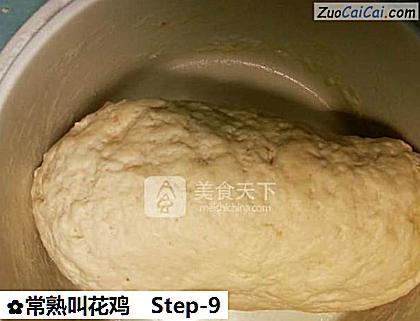 常熟叫花鸡做法第九步骤