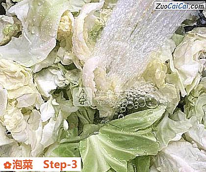 泡菜做法第三步骤