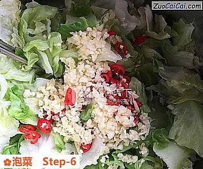 泡菜做法第六步骤