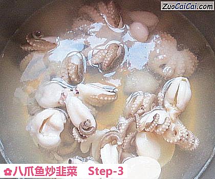八爪鱼炒韭菜做法第三步骤