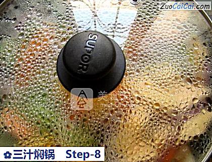 三汁焖锅做法第八步骤