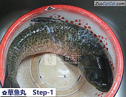 草鱼丸做法第一步骤