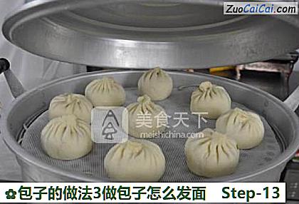 包子3做包子怎么发面做法第十三步骤