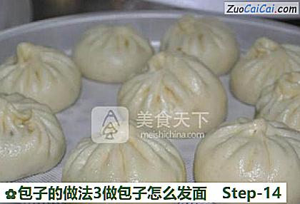 包子3做包子怎么发面做法第十四步骤