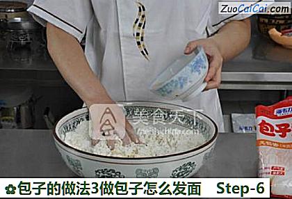 包子3做包子怎么发面做法第六步骤