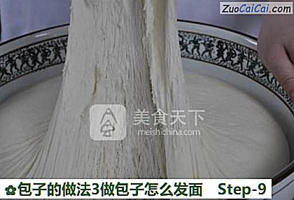 包子3做包子怎么发面做法第九步骤