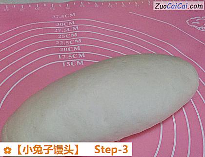 小兔子馒头做法第三步骤