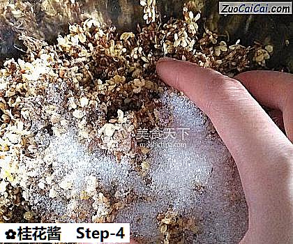 桂花酱做法第四步骤