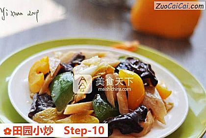 田园小炒做法第十步骤