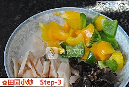 田园小炒做法第三步骤