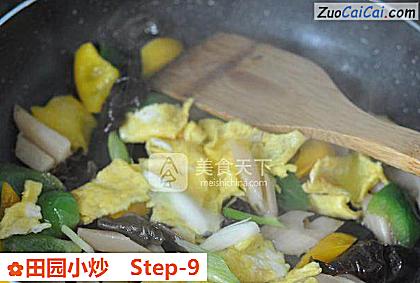 田园小炒做法第九步骤