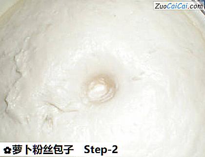 萝卜粉丝包子做法第二步骤