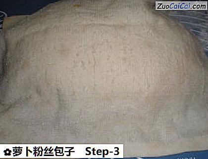 萝卜粉丝包子做法第三步骤