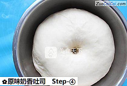 原味奶香吐司做法第四步骤