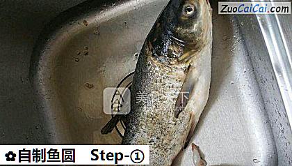 自制鱼圆做法第一步骤