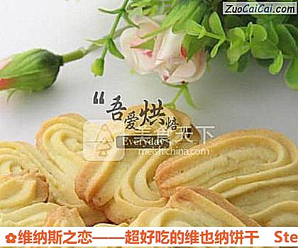 维纳斯之恋——超好吃的维也纳饼干做法第八步骤