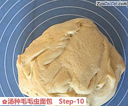 汤种毛毛虫面包做法第十步骤