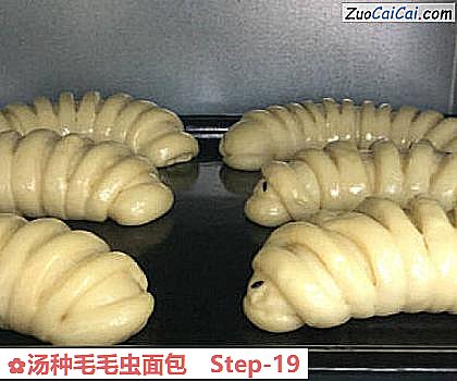 汤种毛毛虫面包做法第十九步骤