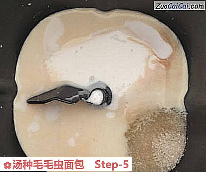 汤种毛毛虫面包做法第五步骤
