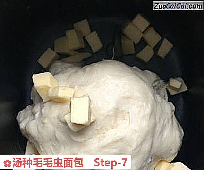 汤种毛毛虫面包做法第七步骤