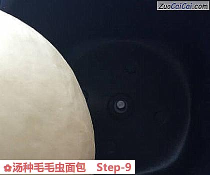 汤种毛毛虫面包做法第九步骤