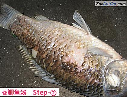 鲫鱼汤做法第二步骤