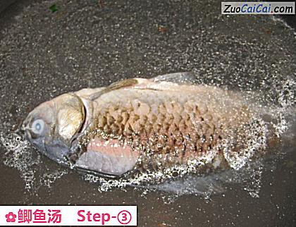 鲫鱼汤做法第三步骤