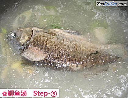 鲫鱼汤做法第五步骤