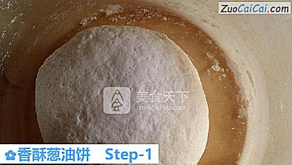 香酥葱油饼做法第一步骤