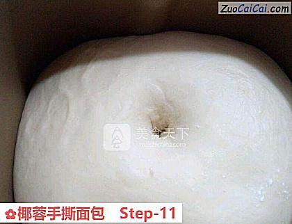 椰蓉手撕面包做法第十一步骤