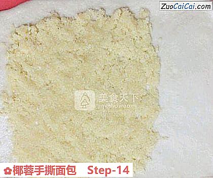 椰蓉手撕面包做法第十四步骤