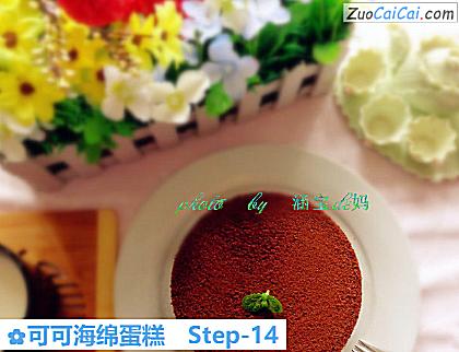 可可海绵蛋糕做法第十四步骤