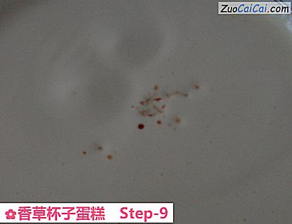 香草杯子蛋糕做法第九步骤