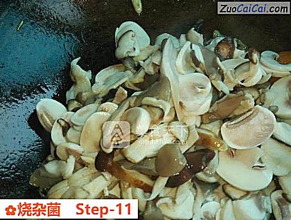 烧杂菌做法第十一步骤