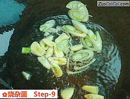 烧杂菌做法第九步骤