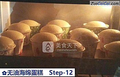 无油海绵蛋糕做法第十二步骤