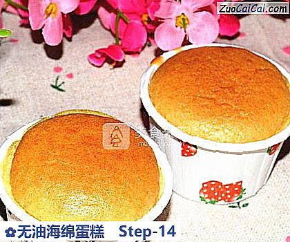 无油海绵蛋糕做法第十四步骤